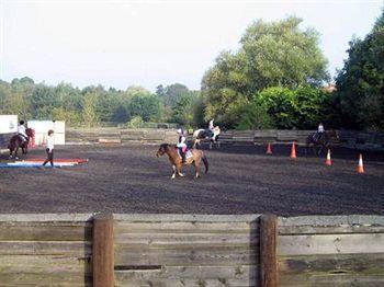 Willowbrook Riding Centre Chichester Kültér fotó